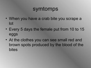 symtomps When you have a crab bite you scrape a lot Every 5 days the female put from 10 to 15 eggs At the clothes you can see small red and brown spots produced by the blood of the bites  
