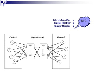 i
i d
ad
H

Network Identifier
Cluster Identifier
Cluster Member

Cluster=1

Network=246

Cluster=2

1

1

STP

STP
2

2

STP

STP

3

3

4

4





SPC

 