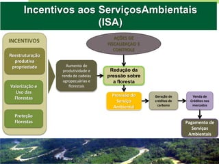 AÇÕES DE FISCALIZAÇAO E CONTROLE 
Reestruturação produtiva propriedade 
Valorização e Uso das Florestas 
Proteção Florestas 
Aumento de produtividade e renda de cadeias agropecuárias e florestais 
Provisão do Serviço Ambiental Redução da pressão sobre a floresta 
Geração de créditos de carbono 
Venda de Créditos nos mercados 
Pagamento de Serviços Ambientais 
INCENTIVOS 
Incentivos aos ServiçosAmbientais (ISA)  