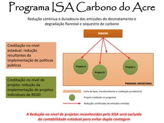 REGISTRO 
Projeto A 
Projeto B 
Projeto n 
PROGRAMA JURISDICIONAL 
Linha de base, monitoramento e creditação jurisdicional 
Projeto creditado no programa 
Reduções certificadas de emissões emitidas 
Programa ISA Carbono do Acre 
Creditação no nível 
estadual: redução 
resultantes da 
implementação de políticas 
públicas 
Creditação no nível de 
projeto: redução da 
implementação de projetos 
individuais de REDD 
A Redução no nível de projetos reconhecidos pelo SISA será excluida 
da contabilidade estadual para evitar dupla contagem 
Redução contínua e duradoura das emissões do desmatamento e 
degradação florestal e sequestro de carbono 
 