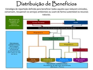 Distribuição de Benefícios 
Benefícios d a 
transação dos 
créditos de 
carbono 
jurisdicionais 
Executoras dos programas e pol ít icas do Estado 
Fundo Florestal CDSA 
PROGRAMA 
JURISDICIONAL 
Abordagem 
programát ica: 
programas 
governamentais 
com foco no uso 
da terra 
Programa A 
Programa B 
Programa C 
Programa D 
PROGRAMA JURISDICIONAL 
Provedores de Servi ços Ambientais 
(Estoque x Fluxo) 
Terras 
Ind ígenas 
Unidades de 
Conser vação 
Projetos de 
Assentamento 
Propriedade 
Privada 
Estratégia de repartição definida para beneficiar todos aqueles que reducem emissões, 
conservam, recuperam os serviços ambientais ou usam de forma sustentável os recursos 
naturais. 
 