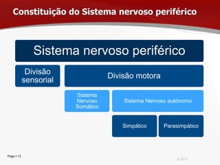 Constituição do Sistema nervoso periférico



               Sistema nervoso periférico
             Divisão
                                   Divisão motora
            sensorial
                        Sistema
                        Nervoso        Sistema Nervoso autónomo
                        Somático


                                      Simpático      Parasimpático




Page  12
                                                          IL 2013
 