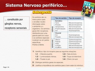 Sistema Nervoso periférico…


  … constituído por
  gânglios nervos,
  receptores sensoriais




Page  16
                                 IL 2013
 