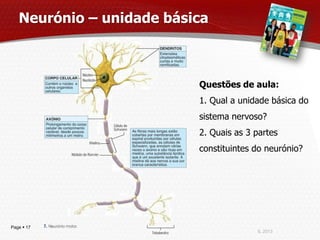 Neurónio – unidade básica



                          Questões de aula:
                          1. Qual a unidade básica do
                          sistema nervoso?
                          2. Quais as 3 partes
                          constituintes do neurónio?




Page  17
                                        IL 2013
 