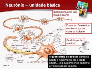 Neurónio – unidade básica
                          material isolante que
                          isola o axónio



                                     Como um fio elétrico
                                     recoberto por um
                                     material isolante


                                     Produtoras de
                                     mielina *




                       A quantidade de mielina aumenta
                       desde o nascimento até à idade
                       adulta… e a sua presença aumenta
Page  18
                       a velocidade do impulso
                                            IL 2013
 