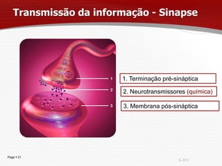 Transmissão da informação - Sinapse




                       1. Terminação pré-sináptica

                       2. Neurotransmissores (química)

                       3. Membrana pós-sináptica




Page  21
                                           IL 2013
 