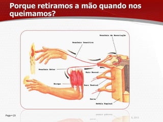 Porque retiramos a mão quando nos
   queimamos?




Page  23
                                 IL 2013
 