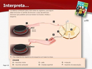 Interpreta…


                        p.93




Page  25
              IL 2013
 