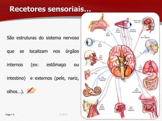 Recetores sensoriais…


 São estruturas do sistema nervoso

 que       se   localizam   nos    órgãos

 internos       (ex:    estômago        ou

 intestino)     e externos (pele, nariz,

 olhos…).



Page  3                      IL 2013
 