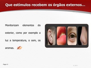 Que estímulos recebem os órgãos externos…




   Monitorizam   elementos   do

   exterior, como por exemplo a

   luz a temperatura, o som, os

   aromas.




Page  5
                                     IL 2013
 