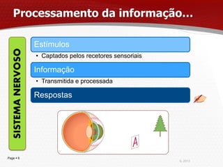 Processamento da informação…

                     Estímulos
   SISTEMA NERVOSO


                     • Captados pelos recetores sensoriais

                     Informação
                     • Transmitida e processada

                     Respostas




Page  6
                                                             IL 2013
 