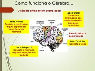 Como funciona o Cérebro…
O cérebro divide-se em quatro lobos:
Lobo Frontal
Controla o movimento,
alguns aspetos das
emoções e da
memória
Lobo Temporal
Controla a memória,
algumas emoções e a
audição
Lobo Parietal
Processa a
informação dos
sentidos e realiza
cálculos e
raciocínios
Lobo Occipital
Controla a visão
Área da leitura e
compreensão
 