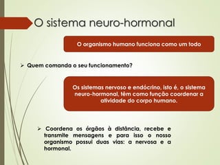 O sistema neuro-hormonal
O organismo humano funciona como um todo
 Quem comanda o seu funcionamento?
Os sistemas nervoso e endócrino, isto é, o sistema
neuro-hormonal, têm como função coordenar a
atividade do corpo humano.
 Coordena os órgãos à distância, recebe e
transmite mensagens e para isso o nosso
organismo possui duas vias: a nervosa e a
hormonal.
 