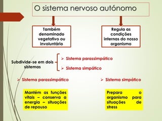 O sistema nervoso autónomo
Também
denominado
vegetativo ou
involuntário
Regula as
condições
internas do nosso
organismo
Subdivide-se em dois
sistemas
 Sistema parassimpático
 Sistema simpático
 Sistema parassimpático  Sistema simpático
Mantém as funções
vitais – conserva a
energia – situações
de repouso
Prepara o
organismo para
situações de
stress
 