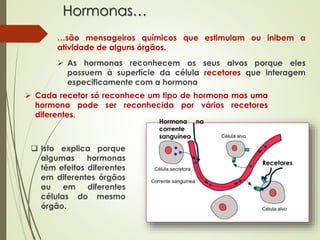 Hormonas…
…são mensageiros químicos que estimulam ou inibem a
atividade de alguns órgãos.
 As hormonas reconhecem os seus alvos porque eles
possuem à superfície da célula recetores que interagem
especificamente com a hormona
 Cada recetor só reconhece um tipo de hormona mas uma
hormona pode ser reconhecida por vários recetores
diferentes.
 Isto explica porque
algumas hormonas
têm efeitos diferentes
em diferentes órgãos
ou em diferentes
células do mesmo
órgão.
Hormona na
corrente
sanguínea
Recetores
 