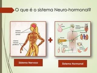 O que é o sistema Neuro-hormonal?
Sistema Nervoso Sistema Hormonal
 