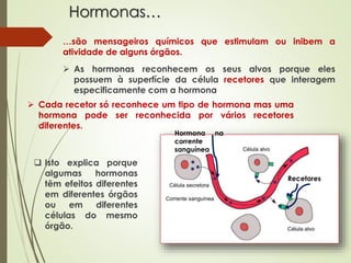 Hormonas…
…são mensageiros químicos que estimulam ou inibem a
atividade de alguns órgãos.
 As hormonas reconhecem os seus...