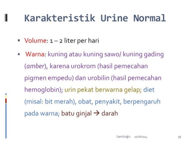 Sistem Urinaria Sistem Perkemihan Sistem Urinaria Sistem Perkemihan