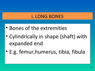 i. LONG BONES

• Bones of the extremities
• Cylindrically in shape (shaft) with
  expanded end
• E.g. femur,humerus, tibia, fibula

11/26/12                                10   11
 