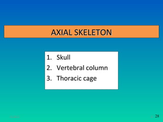 AXIAL SKELETON

           1. Skull
           2. Vertebral column
           3. Thoracic cage




11/26/12                         23   28
 