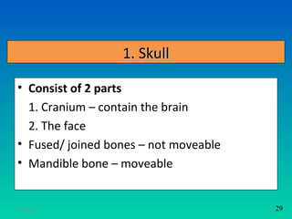 1. Skull

• Consist of 2 parts
  1. Cranium – contain the brain
  2. The face
• Fused/ joined bones – not moveable
• Mandible bone – moveable


11/26/12                               24 29
 