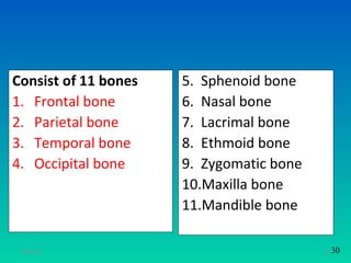 Consist of 11 bones   5. Sphenoid bone
1. Frontal bone       6. Nasal bone
2. Parietal bone      7. Lacrimal bone
3. Temporal bone      8. Ethmoid bone
4. Occipital bone     9. Zygomatic bone
                      10.Maxilla bone
                      11.Mandible bone

 11/26/12                                 25 30
 