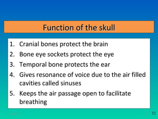 Function of the skull
1. Cranial bones protect the brain
2. Bone eye sockets protect the eye
3. Temporal bone protects the ear
4. Gives resonance of voice due to the air filled
   cavities called sinuses
5. Keeps the air passage open to facilitate
   breathing
11/26/12                                            27   32
 