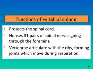 Functions of vertebral column
1. Protects the spinal cord.
2. Houses 31 pairs of spinal nerves going
   through the foramina
3. Vertebrae articulate with the ribs, forming
   joints which move during respiration.

 11/26/12                                   30 35
 