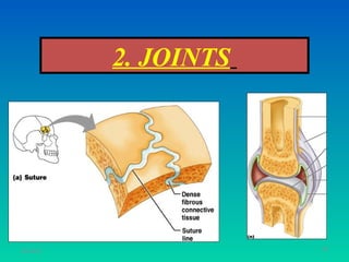 2. JOINTS




11/26/12               38
 
