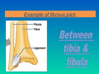 Example of fibrous joint




11/26/12                              44
 