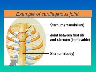 Example of cartilaginous joint




11/26/12                                    48
 