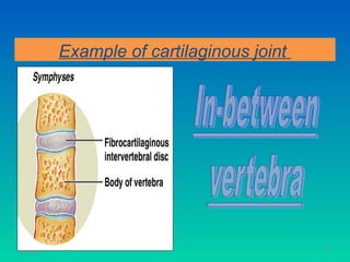 Example of cartilaginous joint




11/26/12                                    49
 
