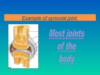 Example of synovial joint




11/26/12                               51
 