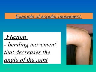 Example of angular movement



 Flexion
- bending movement
that decreases the
angle of the joint
11/26/12                                 57
 