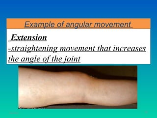 Example of angular movement
 Extension
-straightening movement that increases
the angle of the joint




11/26/12                                 58
 
