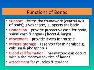 Functions of Bones
• Support – forms the framework (central axis
  of body); gives shape, supports the body
• Protection – provide protective case for brain,
  spinal cord & organs ( heart & lungs)
• Movement – provide levers for muscle
• Mineral storage – reservoir for minerals; e.g.
  calcium & phosphorus
• Blood cell formation – haematopoiesis occurs
  within the marrow cavities of bones
• Attachment for muscles & tendons
11/26/12                                            6   7
 