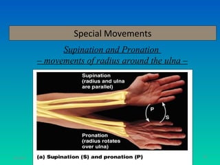 Special Movements
                 Supination and Pronation
           – movements of radius around the ulna –




11/26/12                                             62
 