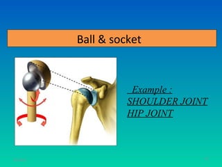 Ball & socket



                      Example :
                     SHOULDER JOINT
                     HIP JOINT



11/26/12                          67
 