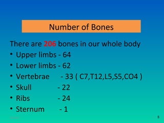 Number of Bones
There are 206 bones in our whole body
• Upper limbs - 64
• Lower limbs - 62
• Vertebrae - 33 ( C7,T12,L5,S5,CO4 )
• Skull       - 22
• Ribs        - 24
• Sternum      -1
11/26/12                                7   8
 