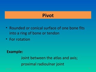 Pivot

• Rounded or conical surface of one bone fits
  into a ring of bone or tendon
• For rotation

 Example:
        Joint between the atlas and axis;
        proximal radioulnar joint
11/26/12                                        70
 