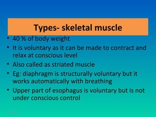Types- skeletal muscle
• 40 % of body weight
• It is voluntary as it can be made to contract and
  relax at conscious level
• Also called as striated muscle
• Eg: diaphragm is structurally voluntary but it
  works automatically with breathing
• Upper part of esophagus is voluntary but is not
  under conscious control
11/26/12                                          76
 