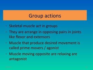 Group actions
- Skeletal muscle act in groups
- They are arrange in opposing pairs in joints
  like flexor and extensors
- Muscle that produce desired movement is
  called prime movers / agonist
- Muscle moving opposite are relaxing are
  antagonist
11/26/12                                         82
 
