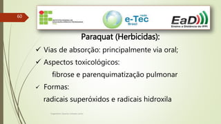 Engenheiro Zacarias Linhares Junior
60
Paraquat (Herbicidas):
 Vias de absorção: principalmente via oral;
 Aspectos toxicológicos:
fibrose e parenquimatização pulmonar
 Formas:
radicais superóxidos e radicais hidroxila
 