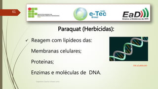 Engenheiro Zacarias Linhares Junior
61
Paraquat (Herbicidas):
 Reagem com lipídeos das:
Membranas celulares;
Proteínas;
Enzimas e moléculas de DNA.
Arte: g1.globo.com
 