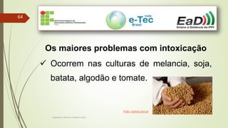 Engenheiro Zacarias Linhares Junior
64
Os maiores problemas com intoxicação
 Ocorrem nas culturas de melancia, soja,
batata, algodão e tomate.
Foto: nutrivil.com.br
 