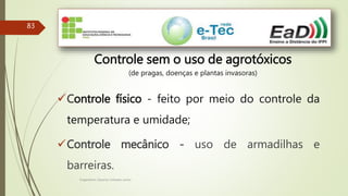 Engenheiro Zacarias Linhares Junior
83
Controle sem o uso de agrotóxicos
(de pragas, doenças e plantas invasoras)
Controle físico - feito por meio do controle da
temperatura e umidade;
Controle mecânico - uso de armadilhas e
barreiras.
 