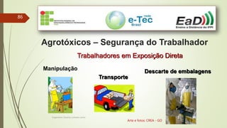 Engenheiro Zacarias Linhares Junior
86
Agrotóxicos – Segurança do Trabalhador
Manipulação
Transporte
Descarte de embalagens
Trabalhadores em Exposição Direta
Arte e fotos: CREA - GO
 