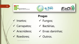 Engenheiro Zacarias Linhares Junior
13
13
Pragas
 Insetos;
 Carrapatos;
 Aracnídeos;
 Roedores;
 Fungos;
 Bactérias,
 Ervas daninhas;
 Outros.
 