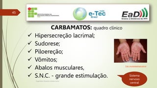 Engenheiro Zacarias Linhares Junior
45
CARBAMATOS: quadro clínico
 Hipersecreção lacrimal;
 Sudorese;
 Piloereção;
 Vômitos;
 Abalos musculares,
 S.N.C. - grande estimulação.
Foto: mundodasdicas.com.br
Sistema
nervoso
central
 