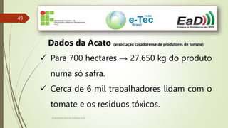 Engenheiro Zacarias Linhares Junior
49
Dados da Acato (associação caçadorense de produtores de tomate)
 Para 700 hectares → 27.650 kg do produto
numa só safra.
 Cerca de 6 mil trabalhadores lidam com o
tomate e os resíduos tóxicos.
 